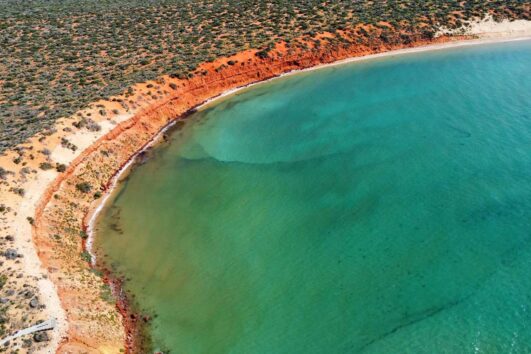 shark bay catamaran